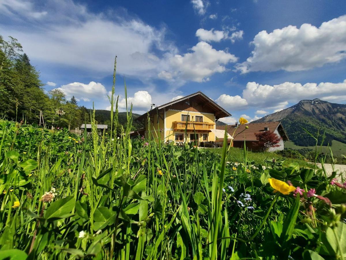 Appartement Reitlhof, Bio Berg Bauernhof Krispl エクステリア 写真