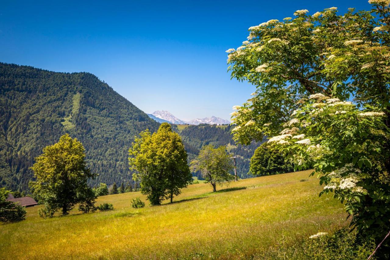 Appartement Reitlhof, Bio Berg Bauernhof Krispl エクステリア 写真